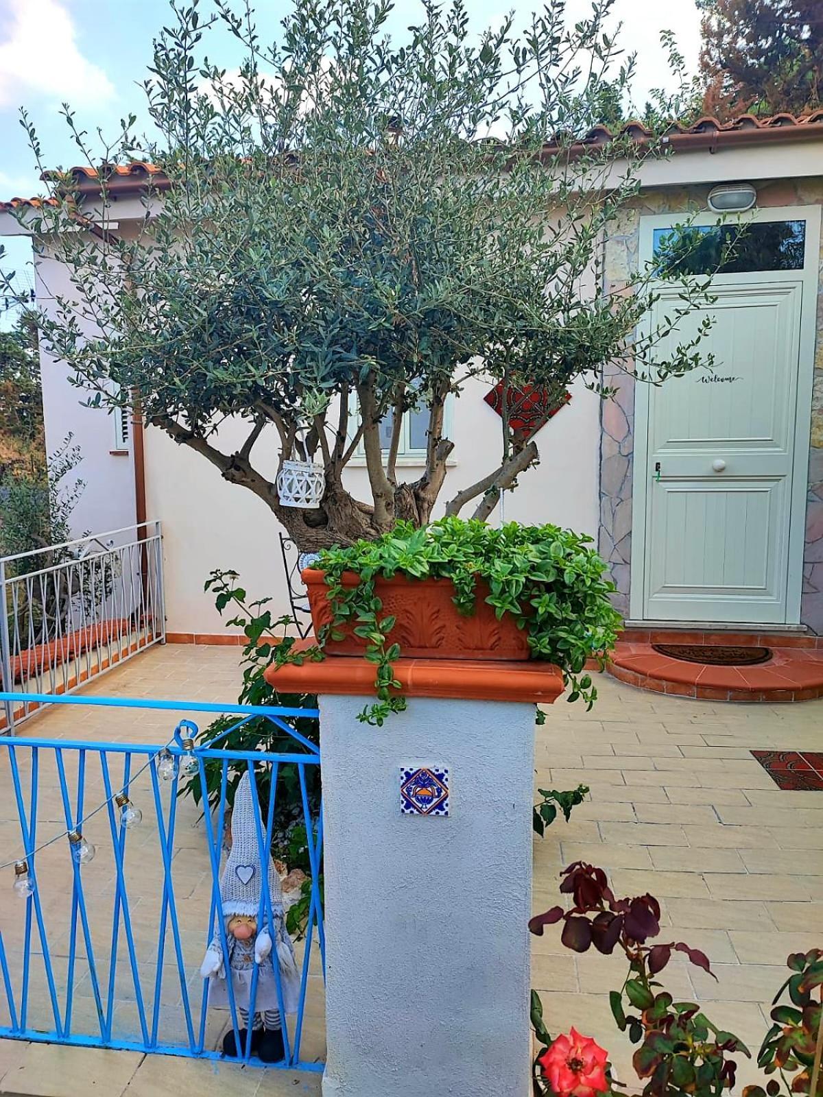 La Casetta Degli Ulivi Palermo Kültér fotó